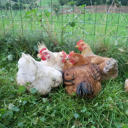 Casale Sant'antonio * Cascia